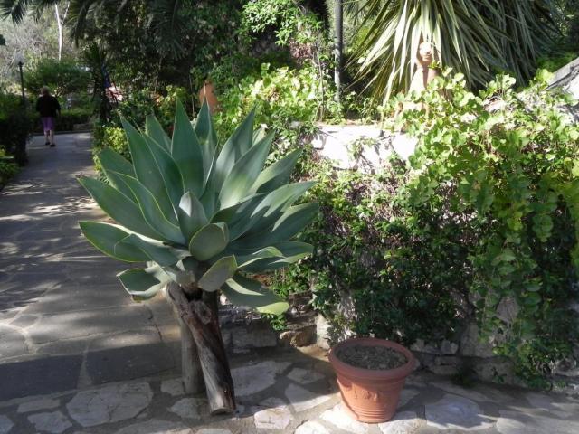 appartamento vacanze Elba